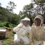 Apiario Santa Teresa 10