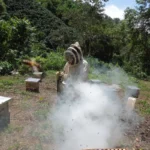 Apiario Santa Teresa 11