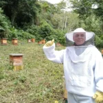 Apiario Santa Teresa 8