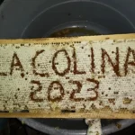 Apiario la Colina 2