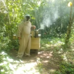 Apiario Ojo De Agua 2