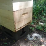 Apiario Ojo De Agua 3