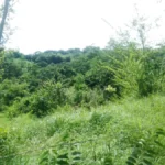 Apiario Ojo De Agua 6